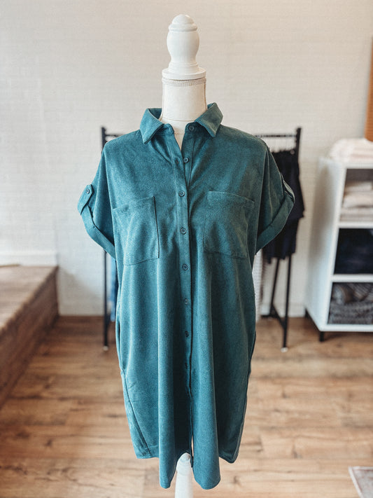 Salamander Faux Suede Dress