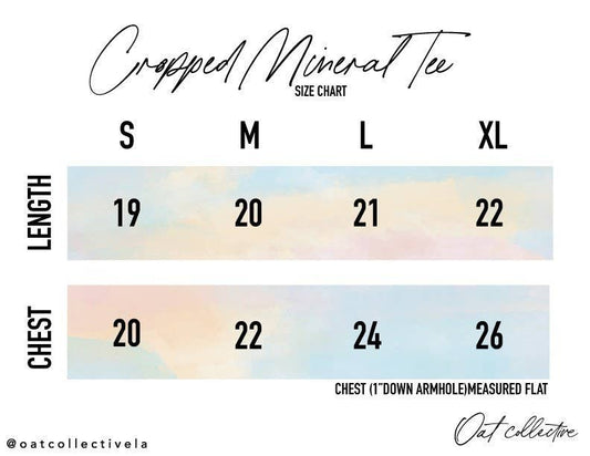 AMERICAN HONEY Cropped Mineral Graphic Top